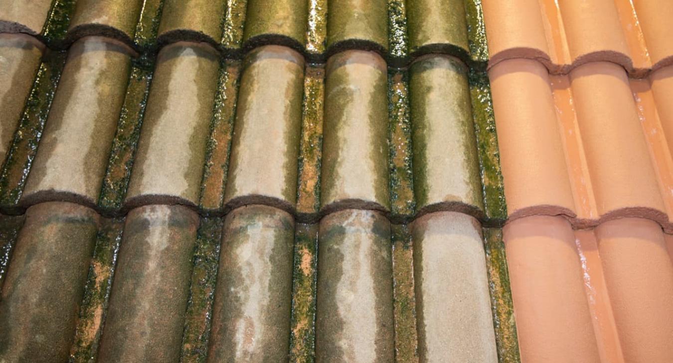 Nettoyage de toiture 37 Indre-et-Loir